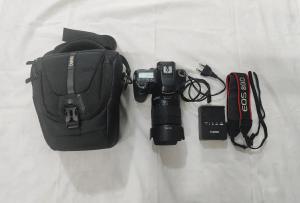 stock