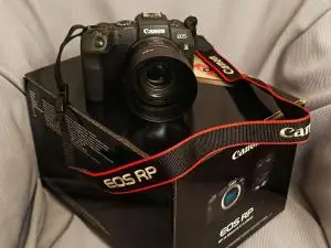 stock