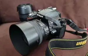 stock