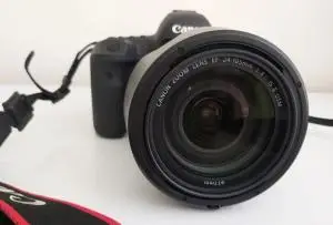 stock