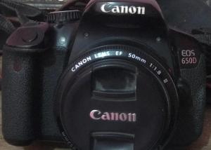 stock