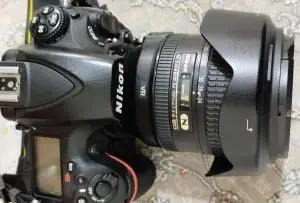 stock