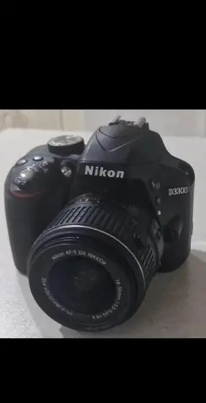 stock