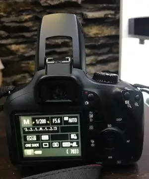 stock