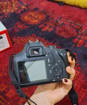 stock