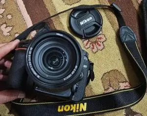 stock