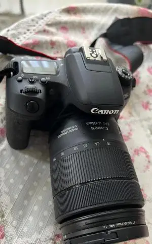 stock