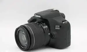 stock