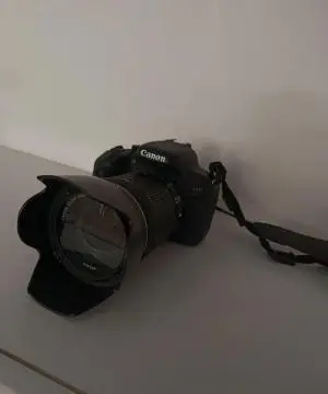stock