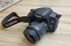 stock