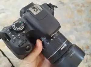 stock