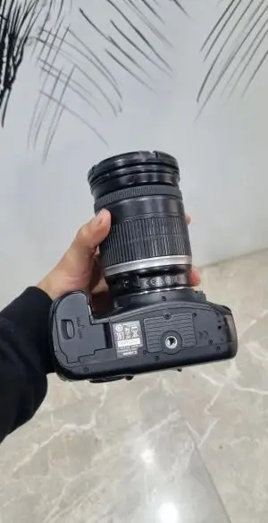 stock