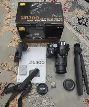 stock