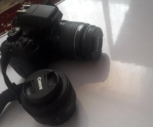 stock