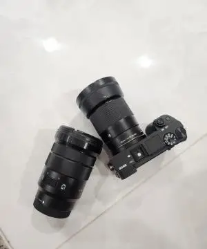 stock