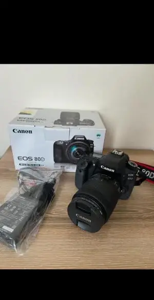 stock