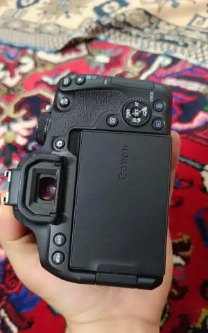 stock