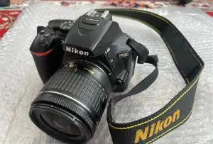 stock
