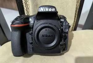 stock