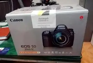 stock
