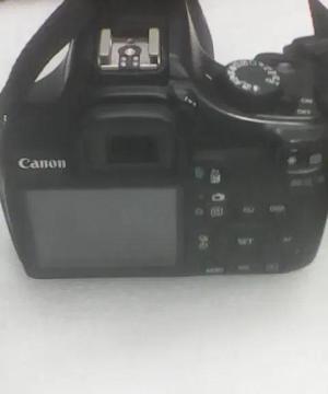 stock