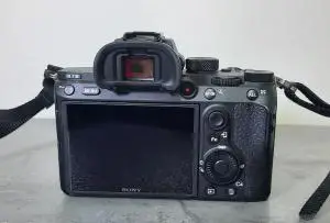 stock