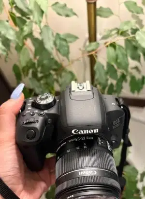 stock