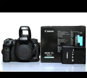 stock