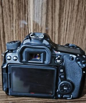 stock