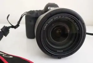 stock
