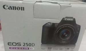 stock