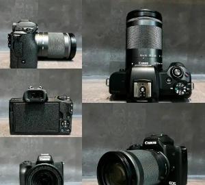 stock