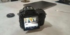 stock