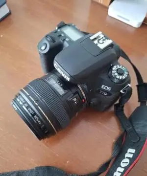 stock