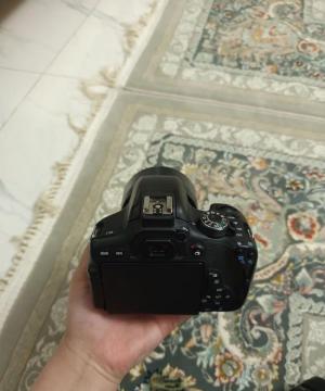 stock