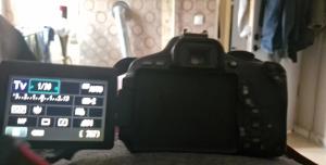 stock