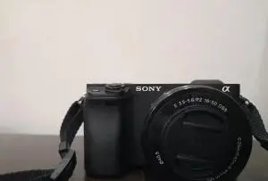 stock