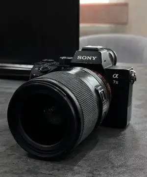 stock