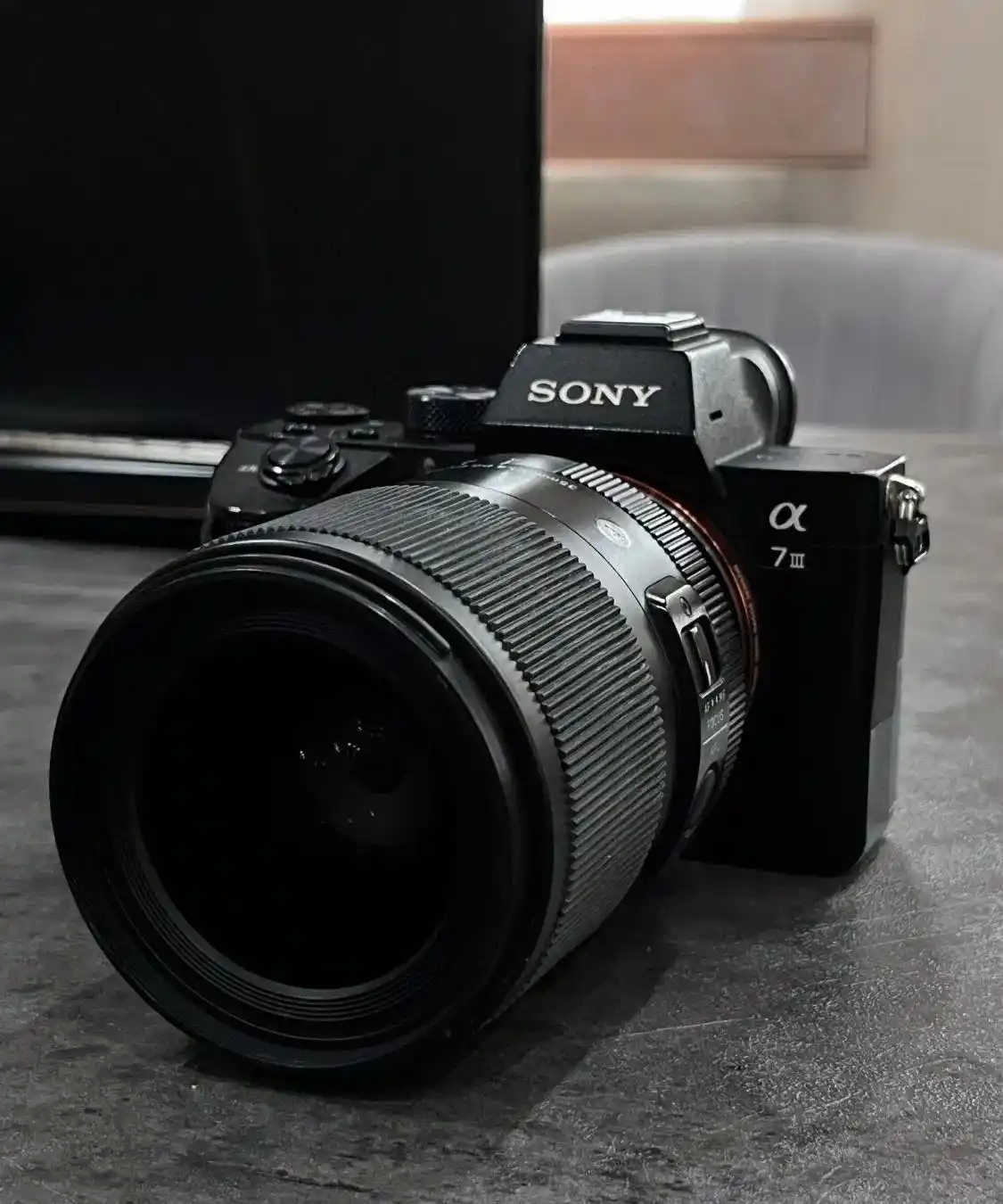 sony a7iii + sigma 35mm DG DN دست دو