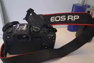 stock