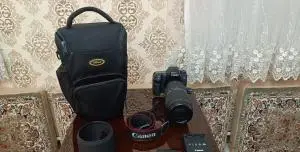 stock