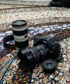 stock
