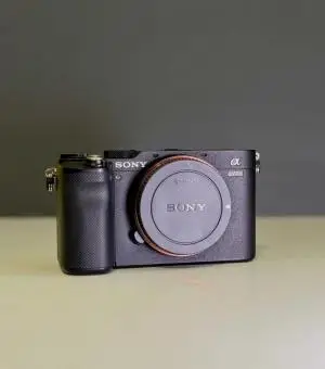 stock