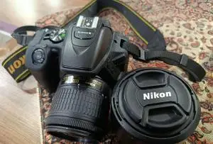 stock