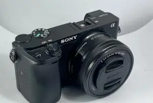 stock