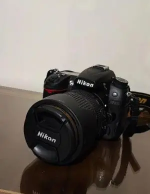 stock