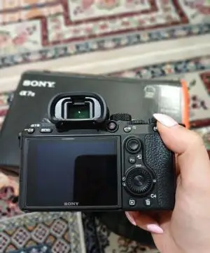 stock