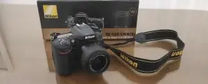 stock
