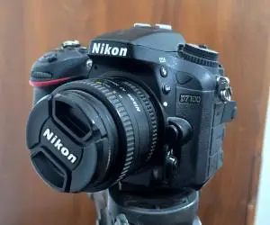 stock