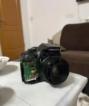 stock